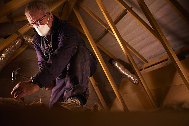Best Cellulose Insulation in Little Rock, AR